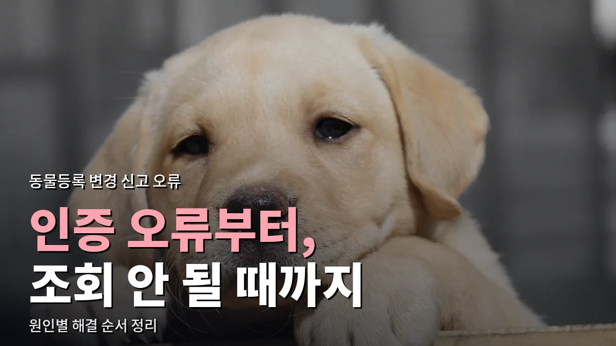 나무 난간에 턱을 괴고 있는 래브라도 강아지